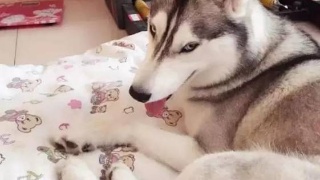 (06月21日)神华榆林循环经济煤炭综合利用项目一阶段工程开工【火狐电竞官方网站】(图4) 火狐电竞官网