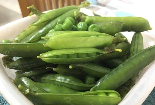 火狐电竞官方网站