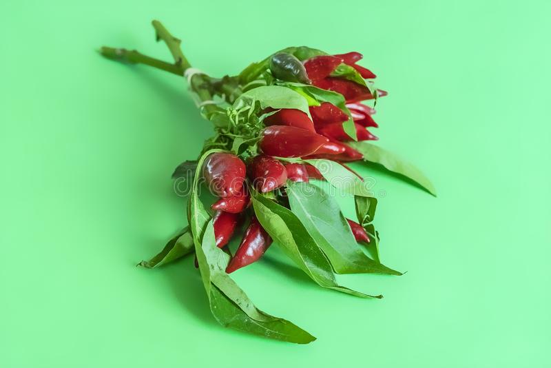 火狐电竞官方网站