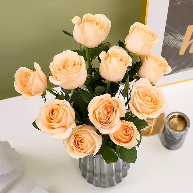 火狐电竞_朗盛公司年利润有望首破十亿欧元(图4) 火狐电竞官网