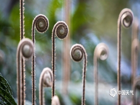 火狐电竞官方网站-(09月12日)甲醇基本面最差时段即将来临