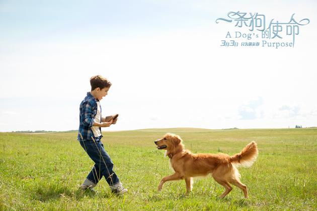 火狐电竞官方网站